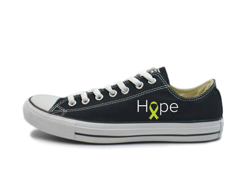 Lymphoma Awareness - "Hope" Converse Low Tops